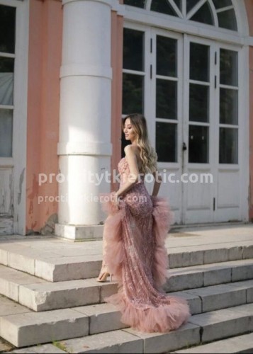 Луиза, Г. Тула